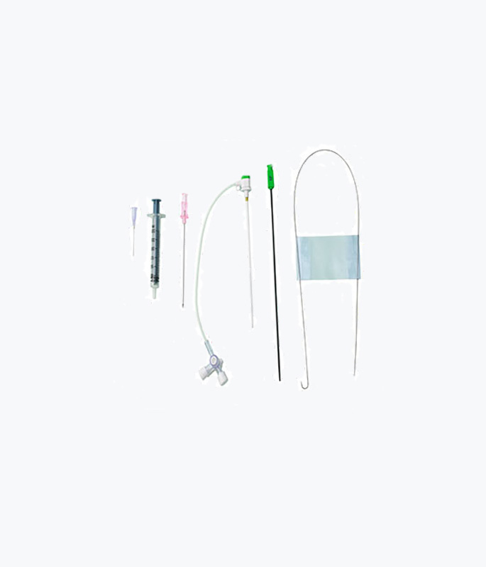 Introducer Sheath